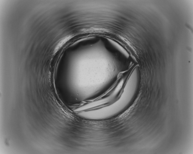 X0000096421066200802141628