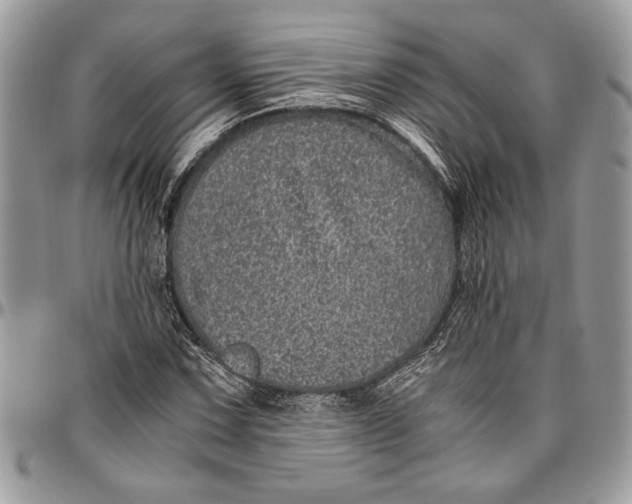 X0000096421067200802141628