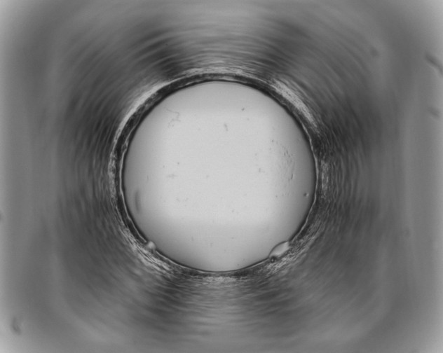 X0000096421068200802141628