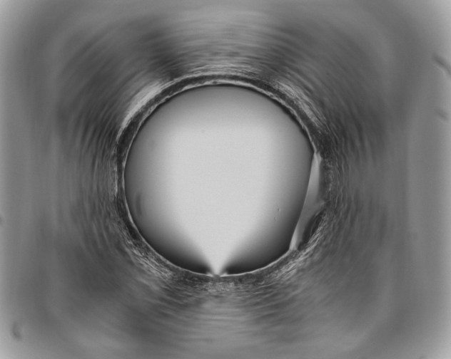 X0000096421069200802141628