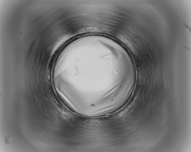 X0000096421070200802141628