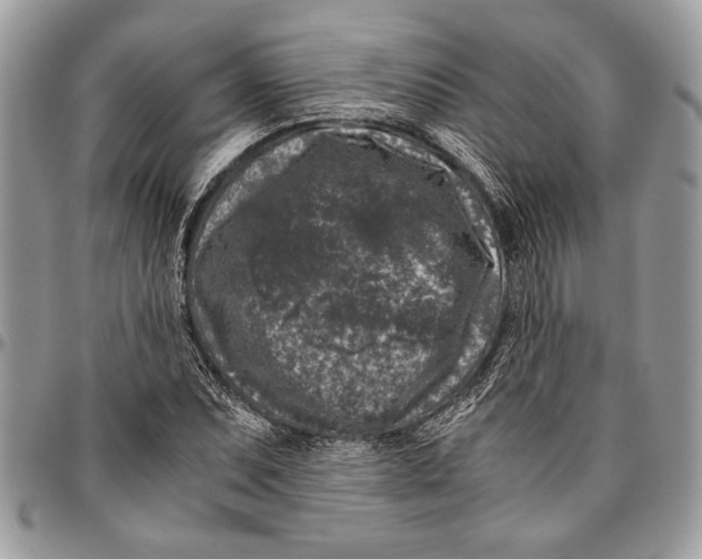 X0000096421071200802141628