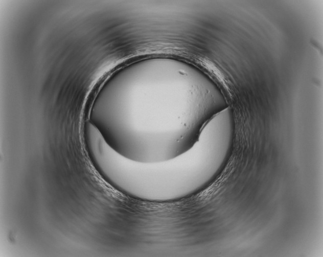 X0000096421072200802141628