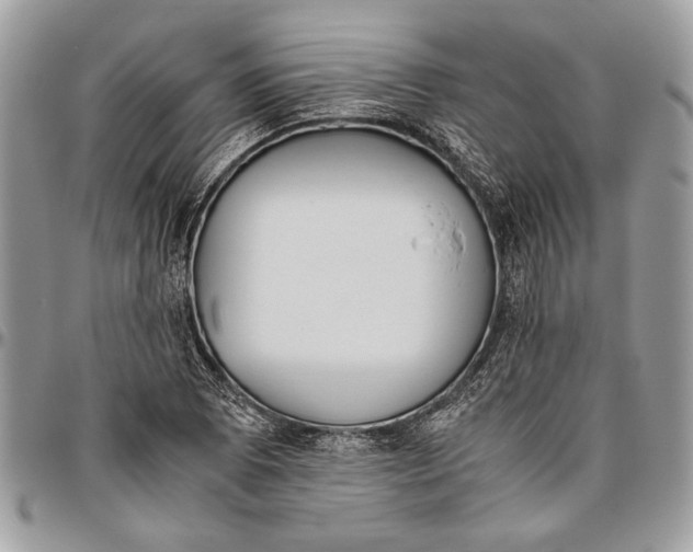 X0000096421073200802141628