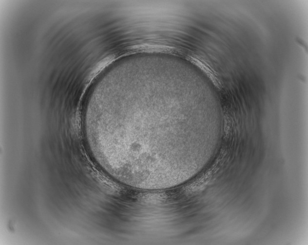 X0000096421074200802141628