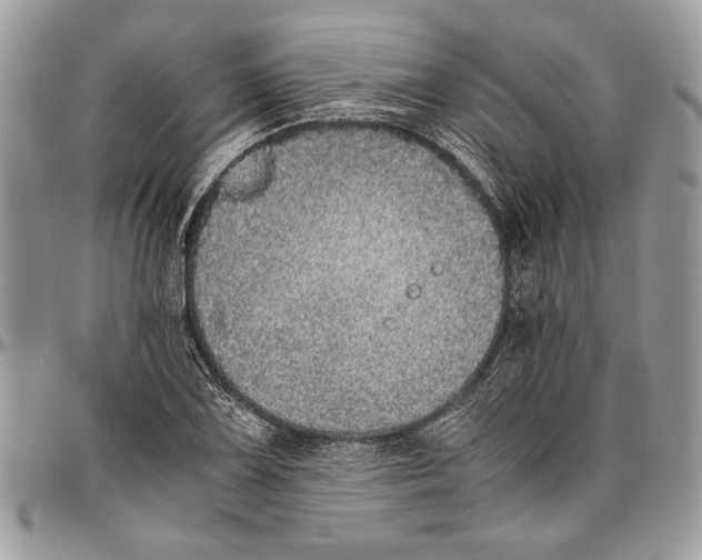 X0000096421075200802141628