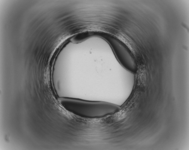 X0000096421076200802141628