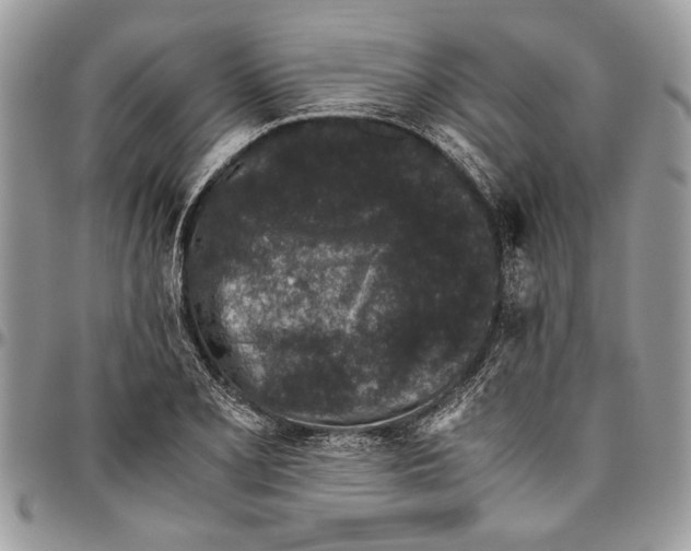 X0000096421077200802141628