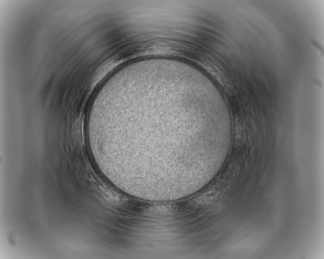 X0000096421078200802141628