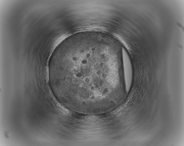 X0000096421079200802141628