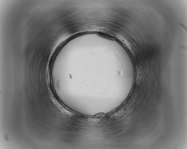 X0000096421080200802141628