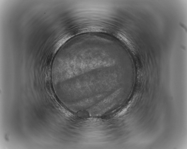 X0000096421081200802141628