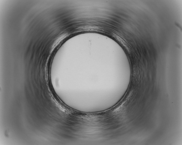 X0000096421082200802141628