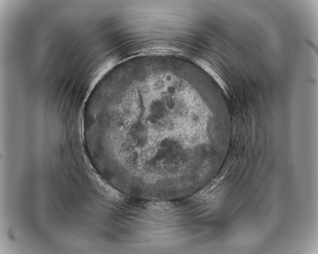 X0000096421083200802141628