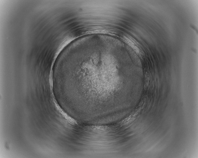 X0000096421084200802141628