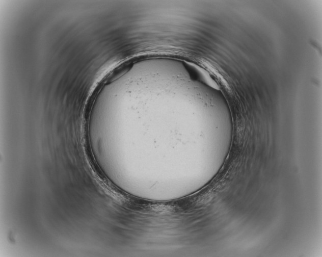 X0000096421085200802141628