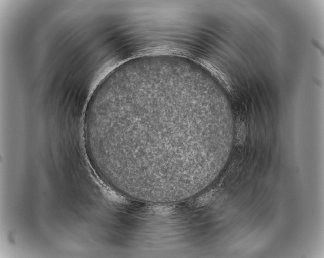 X0000096421086200802141628