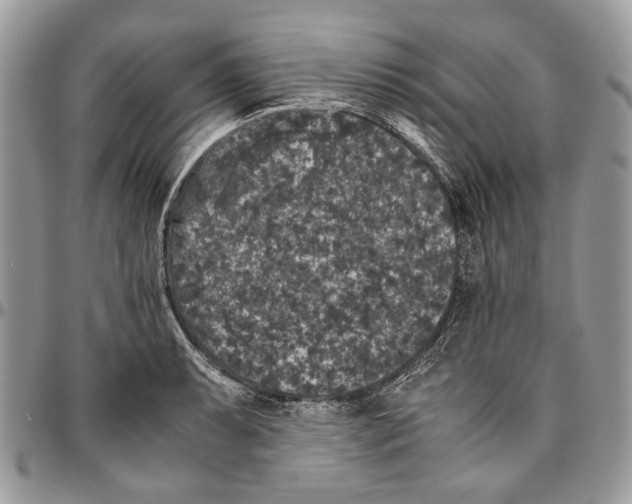 X0000096421087200802141628