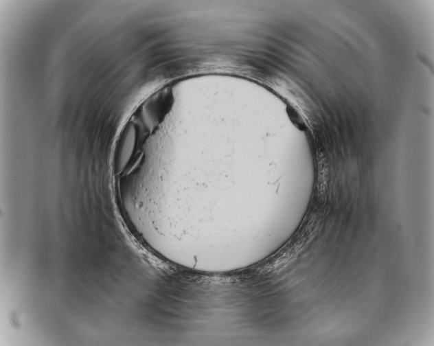 X0000096421088200802141628