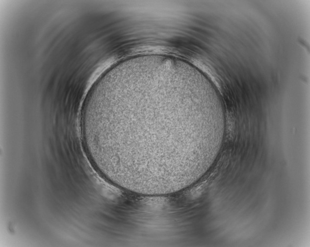 X0000096421090200802141628