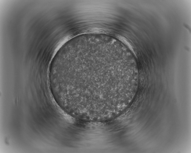 X0000096421091200802141628