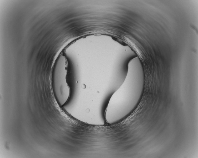 X0000096421092200802141628