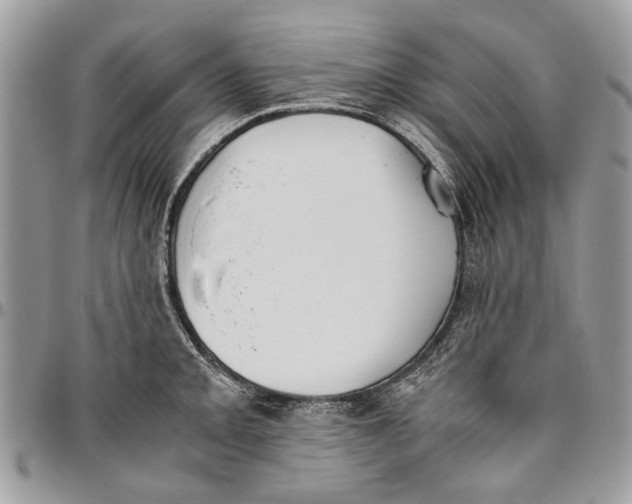 X0000096421093200802141628