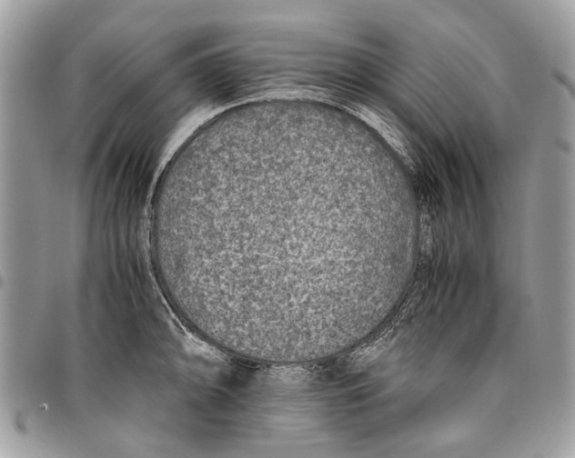 X0000096421094200802141628