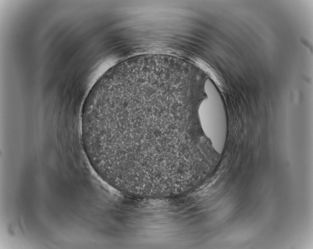 X0000096421095200802141628