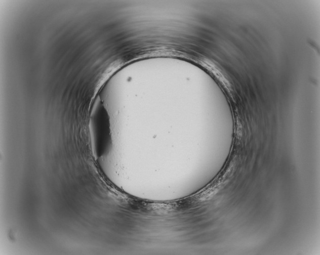 X0000096421097200802141628