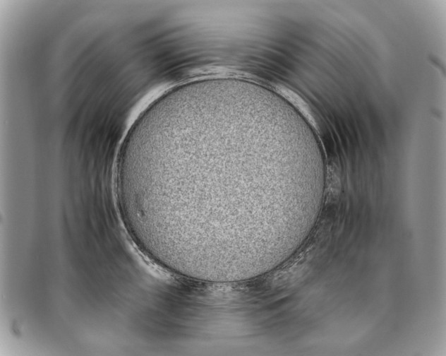 X0000096421098200802141628