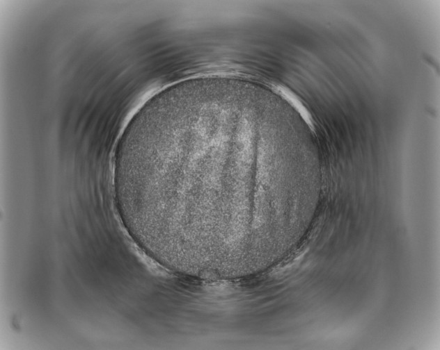 X0000096421099200802141628