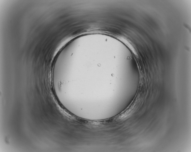 X0000096421101200802141628