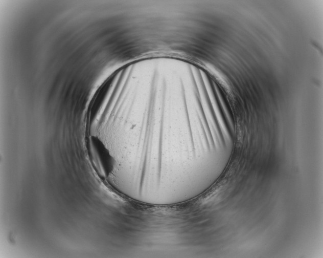 X0000096421102200802141628