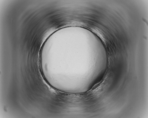 X0000096421103200802141628