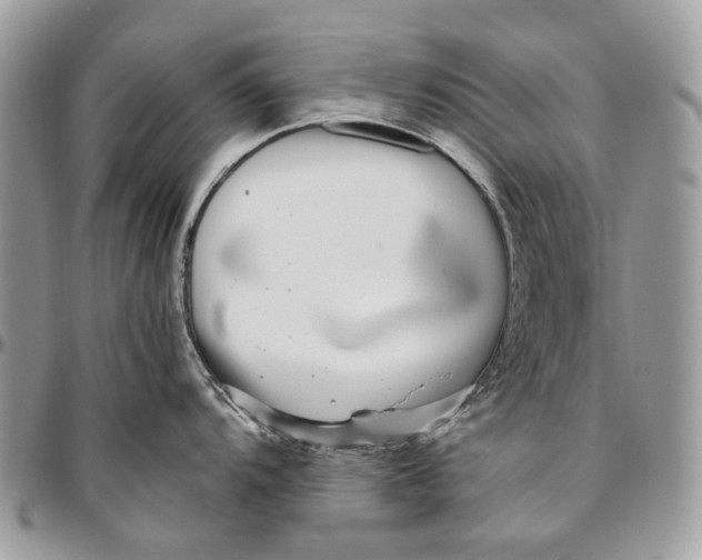 X0000096421104200802141628