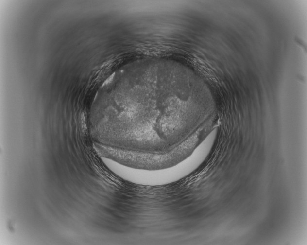 X0000096421106200802141627