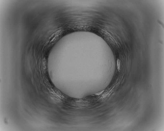 X0000096421107200802141627