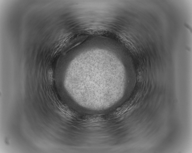 X0000096421108200802141627