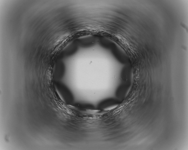 X0000096421110200802141627