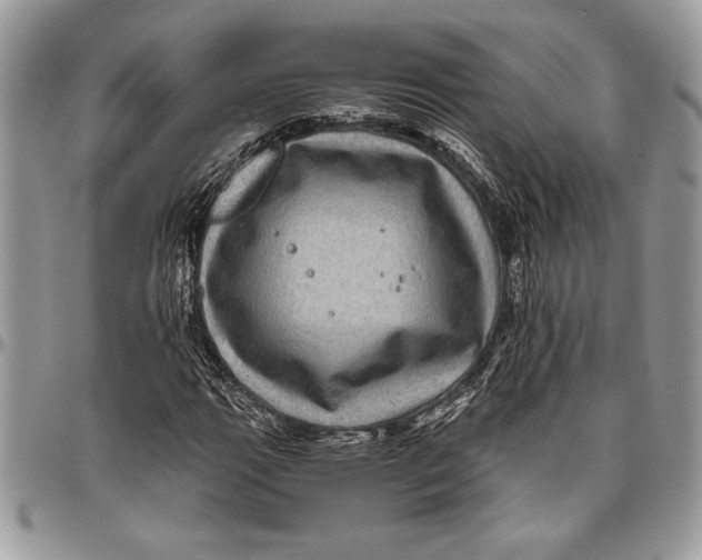 X0000096421111200802141627