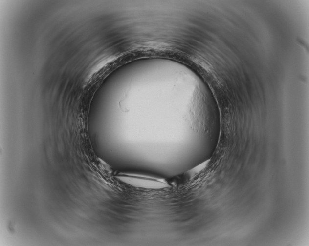 X0000096421112200802141627