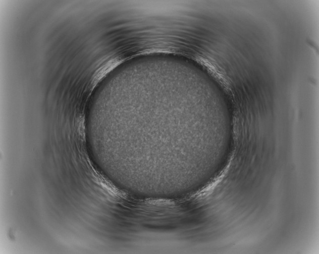 X0000096421113200802141627