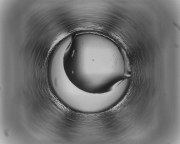 X0000096421114200802141627