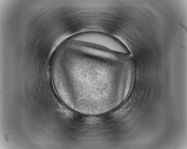 X0000096421115200802141627