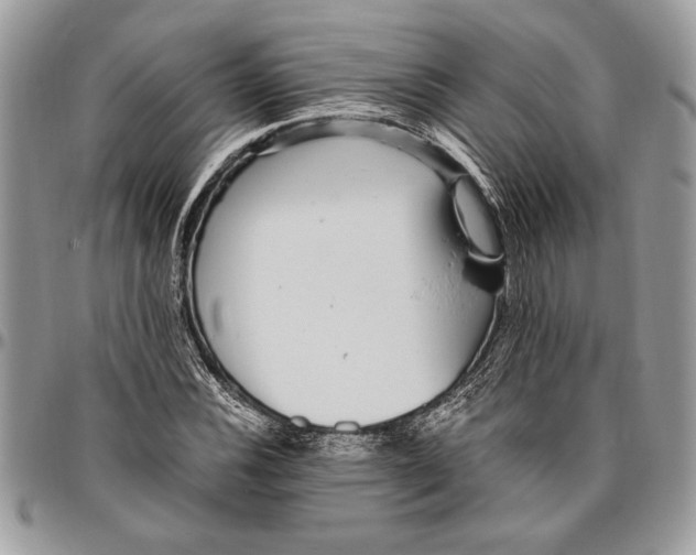 X0000096421116200802141627