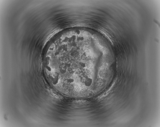 X0000096421117200802141627