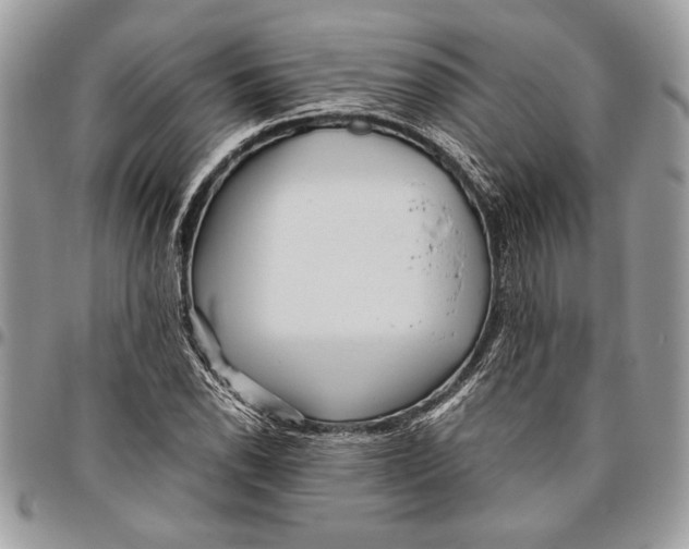 X0000096421118200802141627