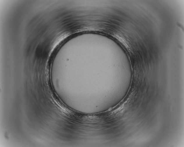 X0000096421119200802141627