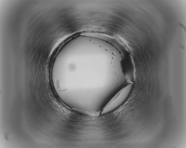 X0000096421120200802141627